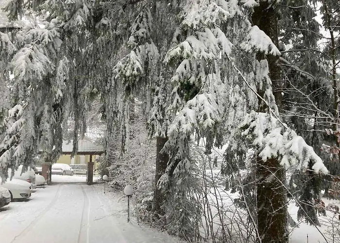 Sumski Vilenjak Διαμέρισμα